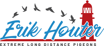 Erik Houter Logo